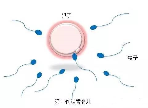 就诊环境